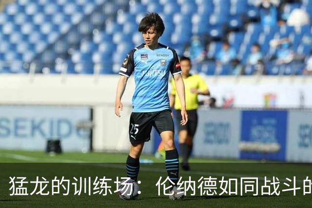 猛龙的训练场：伦纳德如同战斗的骑士！